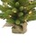 Perfect Holiday 3ft Pre-lit Tabletop Christmas Tree w/Burlap Base
